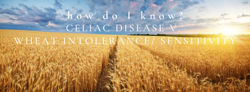 Field of wheat with the overlay of text saying 'how do I know? Celiac disease vs. wheat intolerance" Washington state naturopathic gastroenterologist Dr. Buckle explores the differences